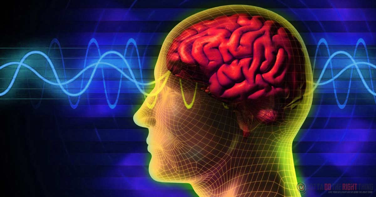 The Best Way To Reboot Your Brain, Increase Energy and Alertness in 15 Minutes