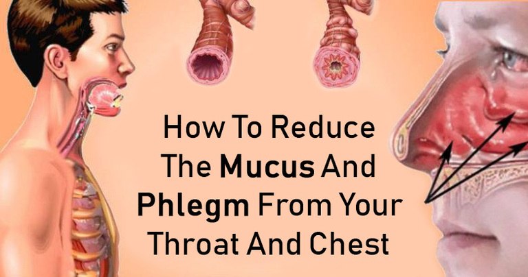 get-rid-of-phlegm-and-mucus-in-chest-throat-with-these-home-remedies