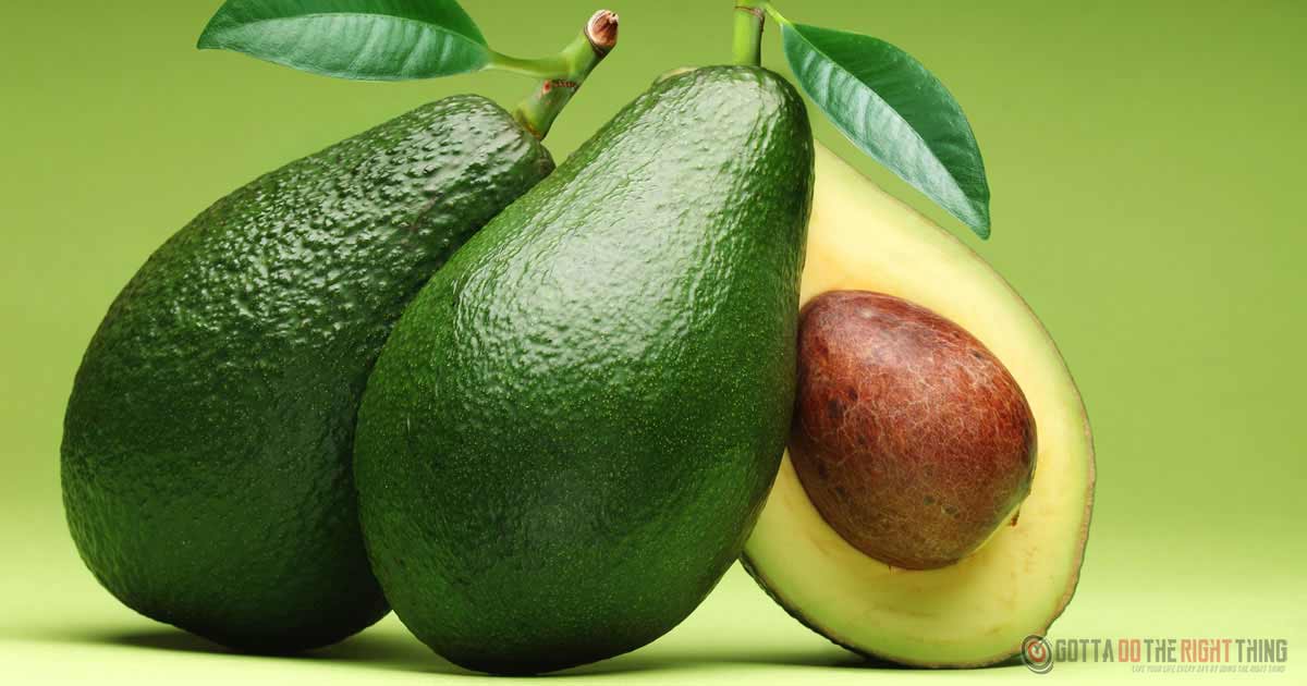 This Is What Will Happen To Your Body If You Consume Avocado Every Day