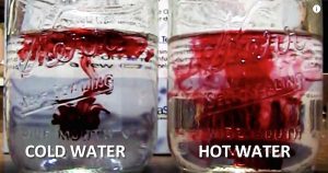 What Is Better for Your Health - Cold Water or Warm Water?