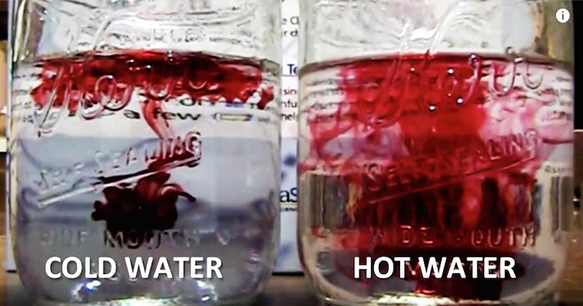 What Is Better for Your Health - Cold Water or Warm Water?