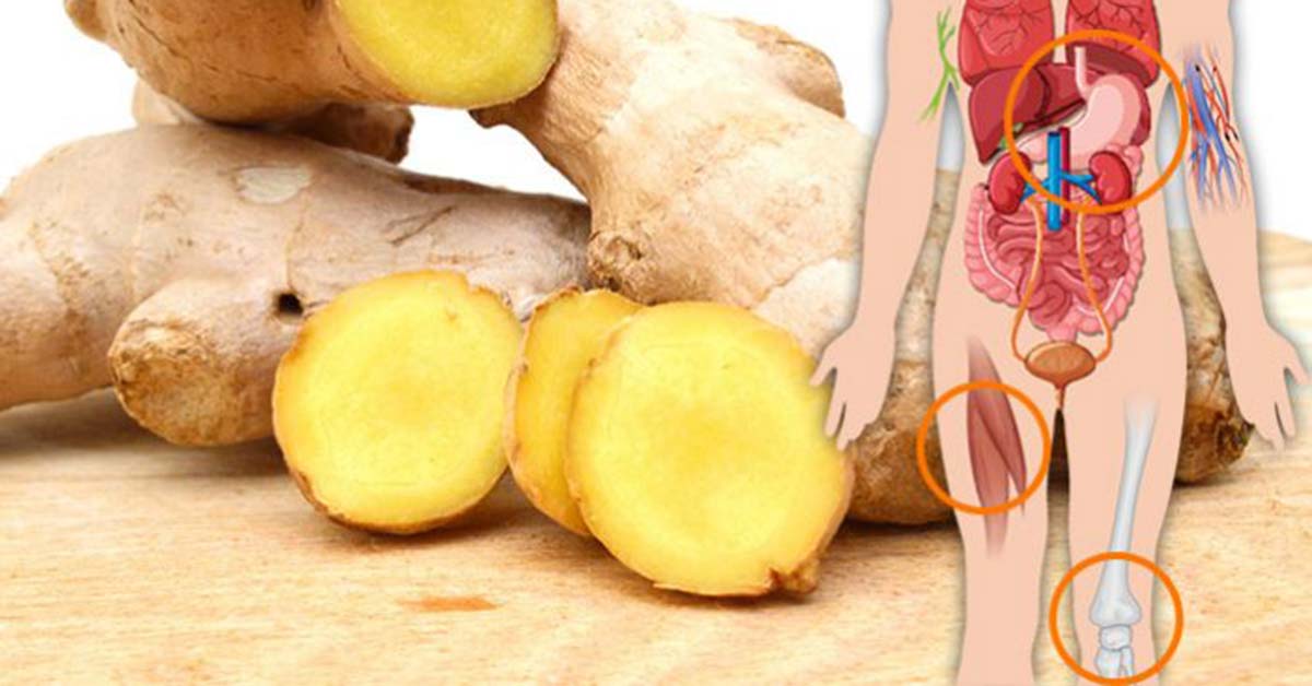 Your Body Will Experience These Benefits If You Consume Ginger For A Month