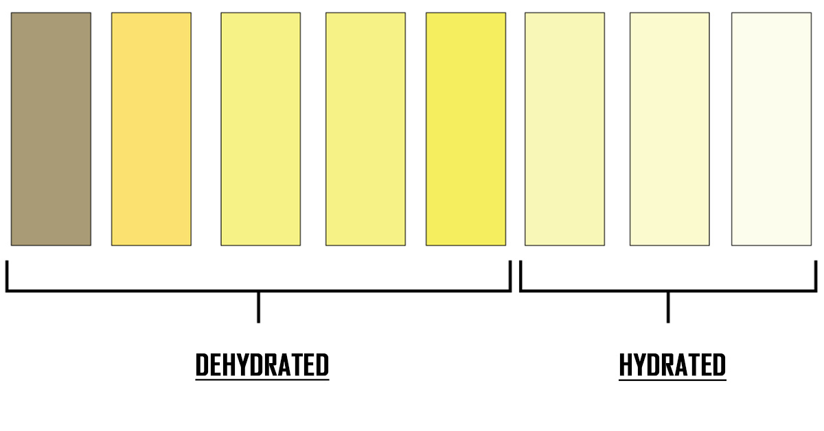 What Does the Color of Our Urine Say About Our Health