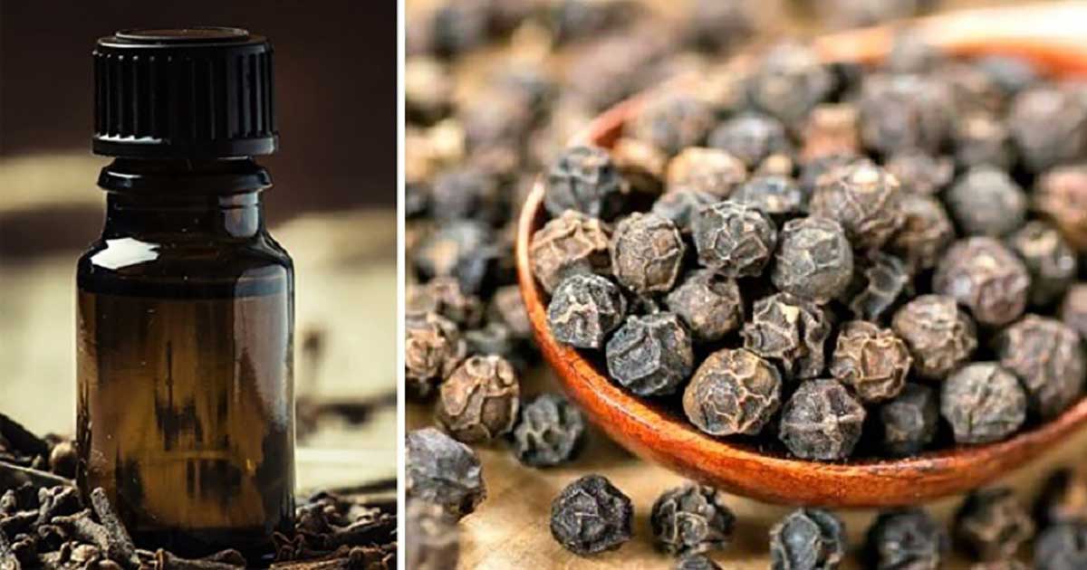 Amazing Benefits of Using Black Pepper Essential Oil You Need to Know About