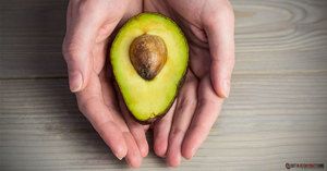 This Is Why You Should Start Eating Avocado More Often