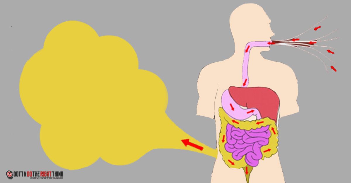 8 Tricks to Prevent Farting You Wish You Knew Before Now